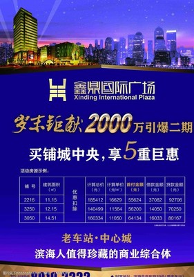 金鼎国际 房地产投资的新机遇与挑战